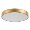 Rabalux 71037 TESIA LED stropné svietidlo