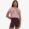 Under Armour UA Logo SS MD