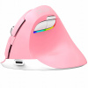 DeLUX M618Mini DB Pink