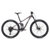 Liv Embolden 1 2024