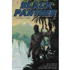 Black Panther: The Early Marvel Years Omnibus 1