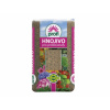 Nohel garden Vápno dusíkaté FORESTINA 25kg
