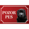 Šarpej - Kovová tabuľka POZOR PES