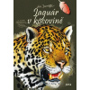 Jaguár v kocovině (Jan Dungel)