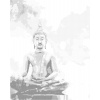 ZUTY Bodkovanie - ZLATÝ BUDDHA NA FAREBNOM POZADÍ Rámovanie: vypnuté plátno na rám, Rozmer: 40x50 cm