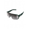 Cycling glasses POC Aspire green