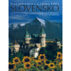 Slovensko v treťom tisícročí (Vladimír Bárta)