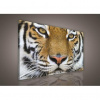 Obraz na plátne obdĺžnik - OB0503 - Tiger 80cm x 60cm - O6