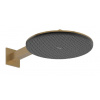 Hansgrohe Raindance Alive S - Hlavová sprcha, priemer 30 cm, 2 prúdy, kefovaný bronz 24540140