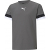 Detské tréningové tričko Puma teamRISE Jersey Jr šedé 704938 13 Veľkosť: 164 cm