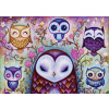 HEYE Puzzle Dreaming: Veľká sova 1000 dielikov