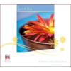 MOODS: Pure Joy - Relaxace (CD) (Relaxační hudba)