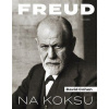 Freud na koksu