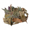 Listy Jungle Mix 40 g
