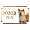 Shiba Inu - Kovová tabuľka POZOR PES