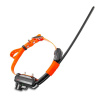 Kratší obojok pre ďalšieho psa - DOG GPS X25TB Short - Oranžová