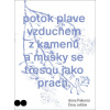 Tanec světlem - Anna Pokorná