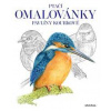 Ptačí omalovánky Pavlíny Kourkové - autora nemá