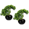 Bonsaj smrekovec opadavý ,nádoba s Ø 130 mm, OJ 2 ks