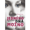 Jedného dňa možno - Würll Dominika