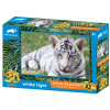 PRIME 3D PUZZLE - Biely tiger 63 dielikov