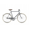 Bicykel mestský- Municipal Bike Gazelle van Stael / Pánske Ash 64 (Bicykel mestský- Municipal Bike Gazelle van Stael / Pánske Ash 64)