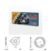 Řetězová sada s ČZ HX-ring GOLD YAMAHA FJ 1200 rok 86-90