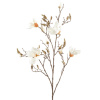 Magnolia Cream branche v. 105cm