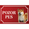 Shiba Inu - Kovová tabuľka POZOR PES