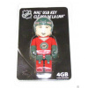 Inglasco / Sherwood USB flash disk Minnesota Wild 4GB