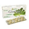 Naturica Ginkgo 60 mg + vitamín E 30 tabliet