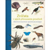 Zvířata v jejich přirozeném prostředí
