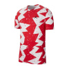 Nike Jordan Tlačené CJ6215-687 - L T-shirt (Nike Jordan Tlačené CJ6215-687 - L T-shirt)