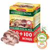 Terezia Company Hliva ustricová s rakytníkovým olejom 100+100 kapsúl Terezia Company Hliva ustricová s rakytníkovým olejom 100+100 kapsúl