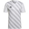 Pánsky dres Entrada 22 Graphic Jersey M HF0129 - Adidas S