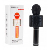 Ramiz Karaoke mikrofón s reproduktorom - Čierny