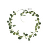 PartyDeco Girlanda s LeD svetielkami Eucalyptus 2 m