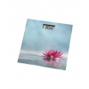 Xavax 95325 Rosa
