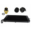 Chladič vody + snímač ventilátora pre HONDA VT 750 C SHADOW ACE 97-03