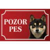 Shiba Inu - Kovová tabuľka POZOR PES