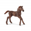 Schleich 13857 Anglický plnokrvník