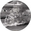 LP Rage Against The Machine: Rage Against The Machine XX PIC | LTD