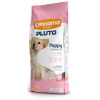PLUTO Dog Puppy 15 kg