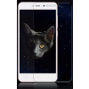 Tvrdené sklo Xiaomi Redmi 4A (Ochranné sklo Xiaomi Redmi 4A)