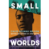 Small Worlds