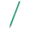 Faber-Castell 117662 Akvarelová farebná ceruzka Albrecht Dürer 162