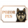 Shiba Inu - Kovová tabuľka POZOR PES