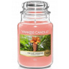 Yankee Candle The Last Paradise 623 g