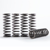 HINSON Sada spojkových pružín HINSON CS215-5-001 (replacement spring kit for H215)