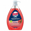 Dual Power profesionálny koncentrát na umývanie riadu s pumpičkou Aloe & Melograno 1 l